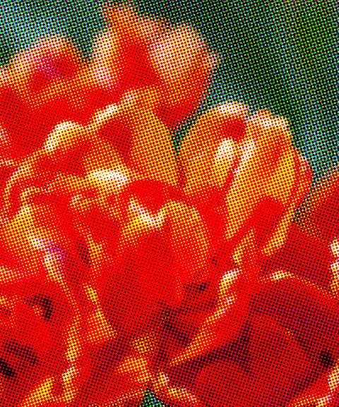 RGB-printed backdrop image of a flower.